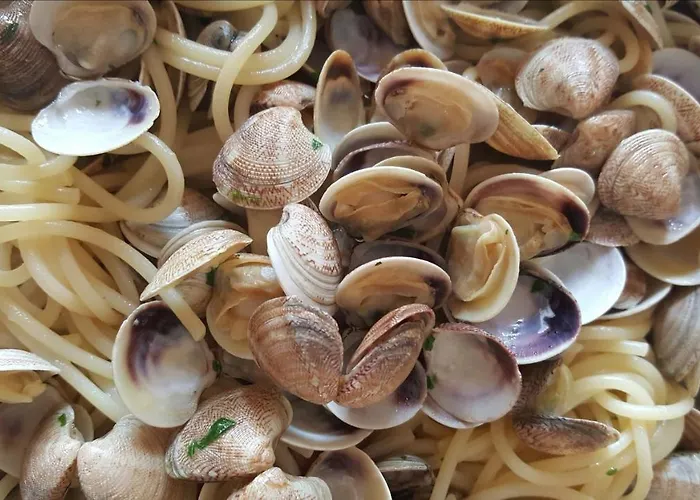 Camelia 2* Ρίμινι