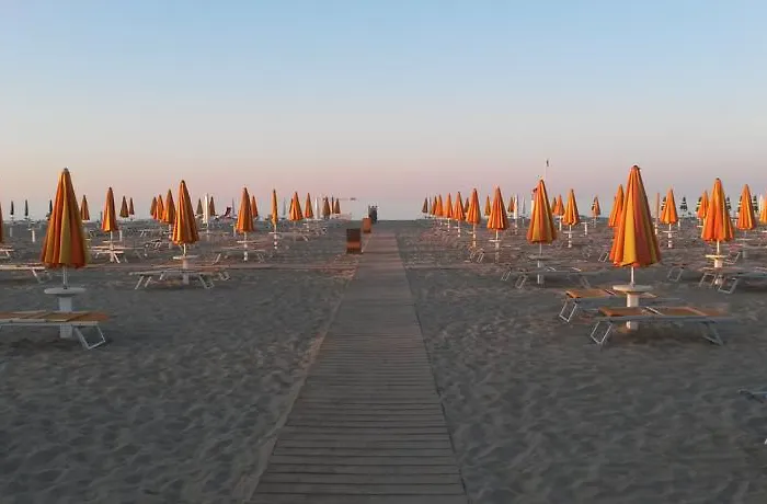 Camelia 2* ريميني