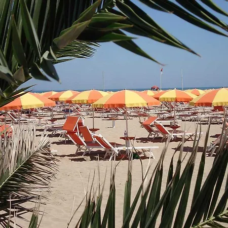 Camelia Otel