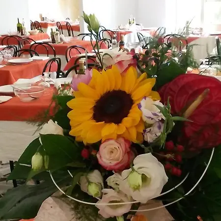 Hotel Camelia Rimini