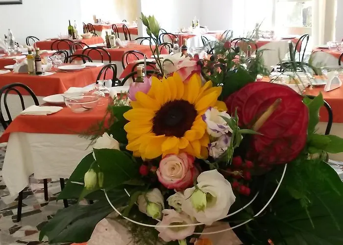 Hotel Camelia Rimini