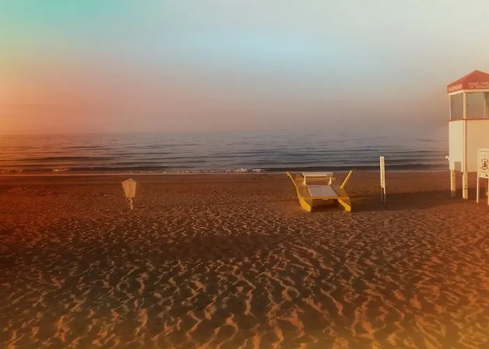 Camelia Hotel Rimini