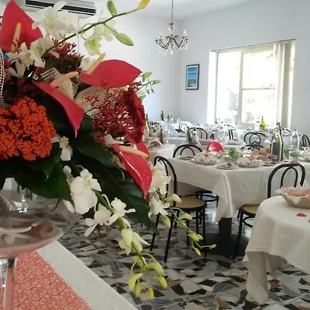 Camelia Hotel Rimini