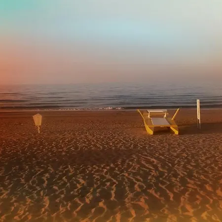 Camelia Hotel Rimini