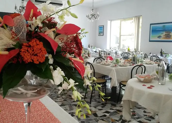 Camelia Hotel Rimini