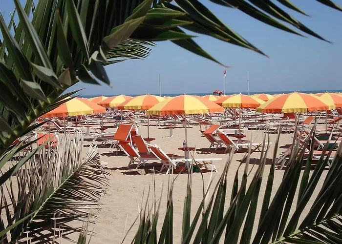 Camelia Hotel